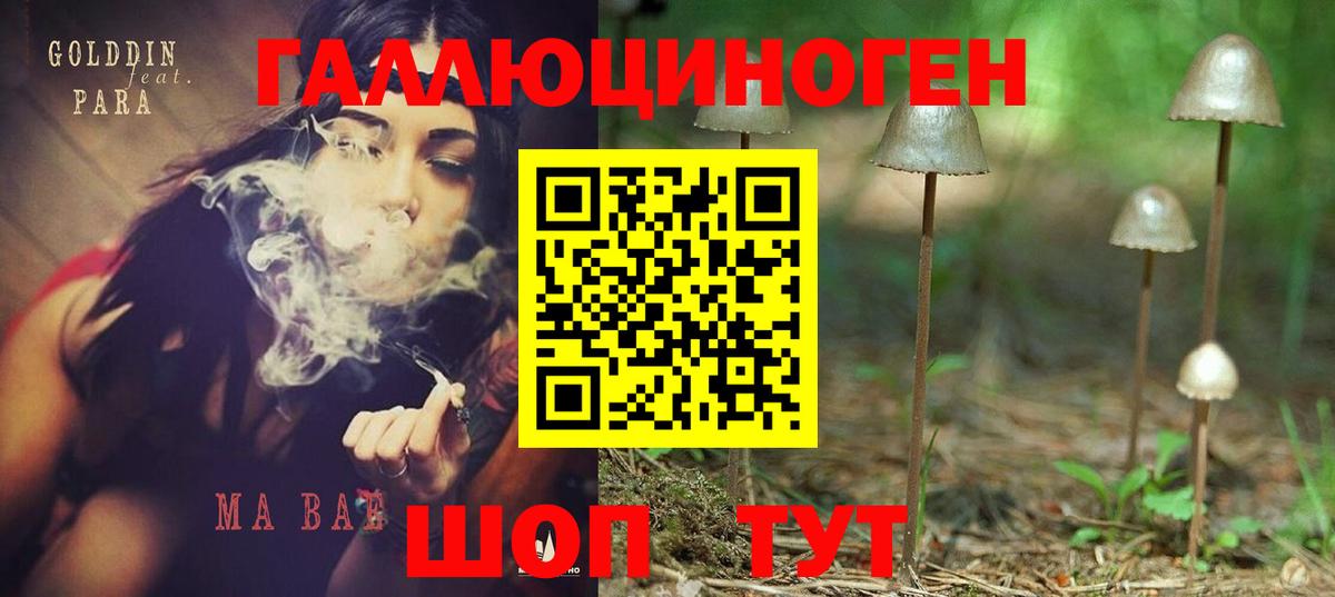 Псилоцибиновые грибы прущие грибы Кызыл